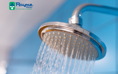 Expert Tips for Choosing the Right Water Softener