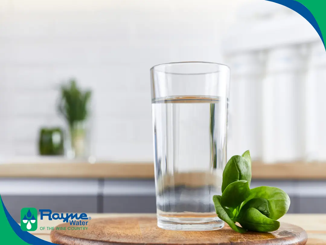 Top 10 Reasons to Invest in a Reverse Osmosis Drinking Water System
