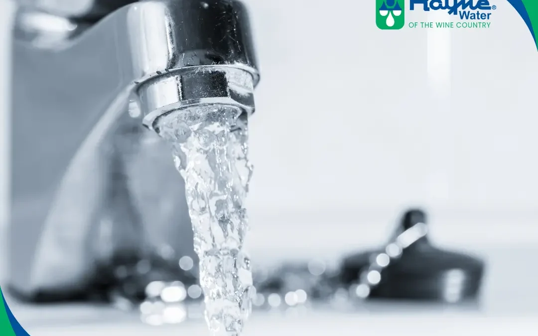 Getting the Best Bang for Your Buck: Key Features to Look for in an Affordable Water Softener