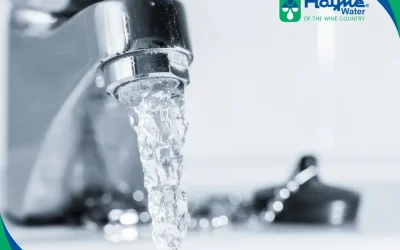 Getting the Best Bang for Your Buck: Key Features to Look for in an Affordable Water Softener