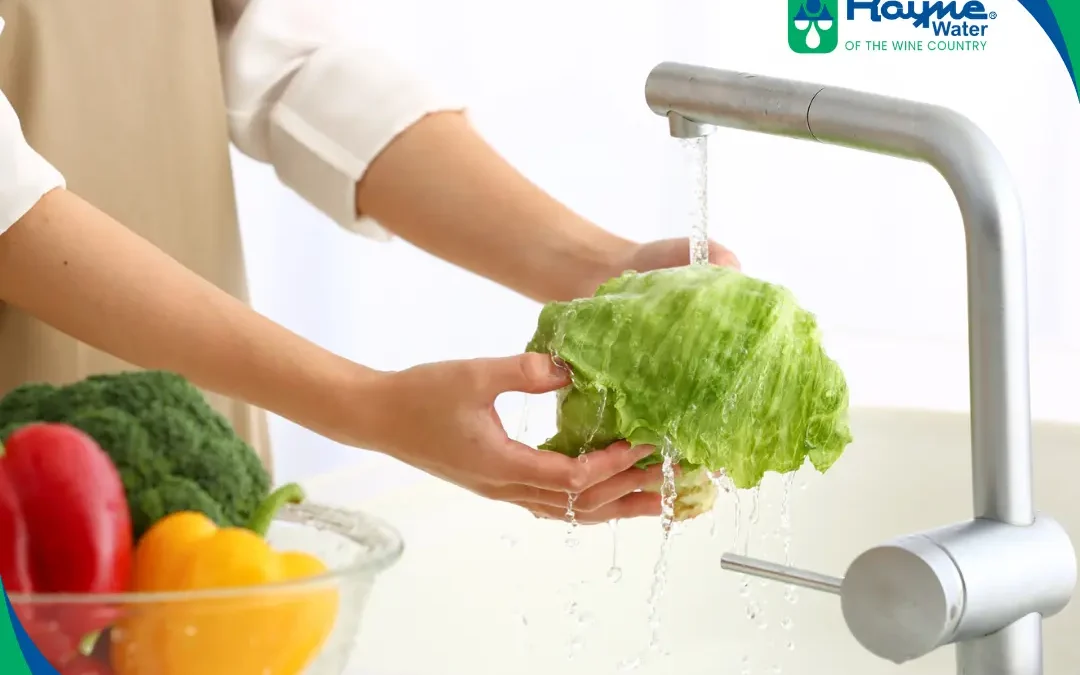 California Tap Water: Common Concerns and Simple Solutions for Homeowners