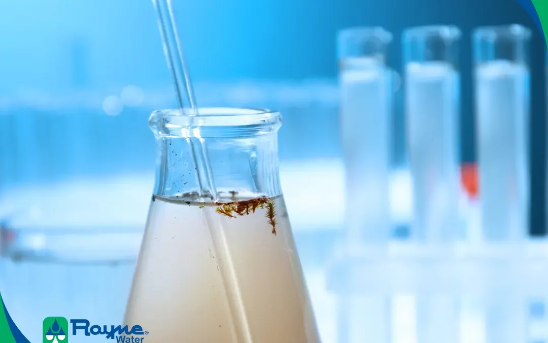Are You Drinking Contaminated Water?