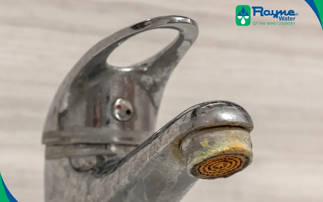 Spotting the Signs of Hard Water: What Every California Homeowner Needs to Know