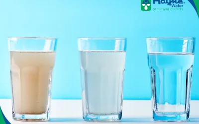 Water Softener vs Water Filter: What’s the Difference & Which Do You Need?