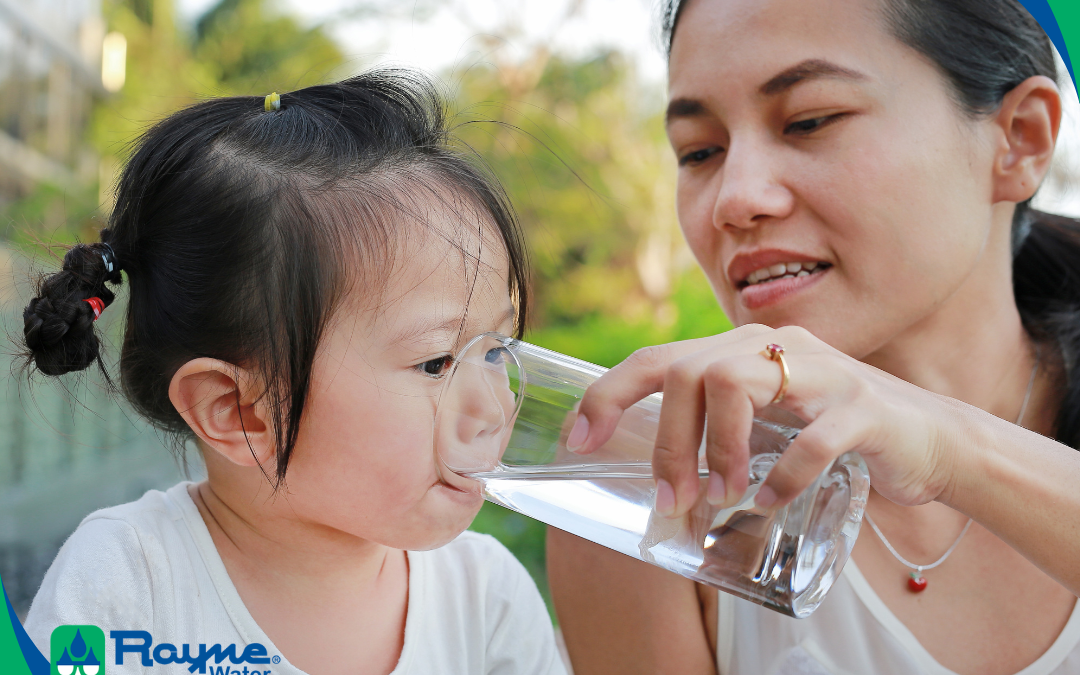 Environmental Benefits of Reverse Osmosis Systems: A Sustainable Choice for Wine Country Homes