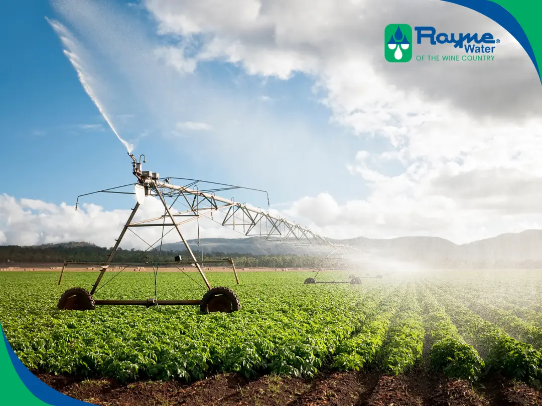 Commercial reverse osmosis systems for agricultural use in California