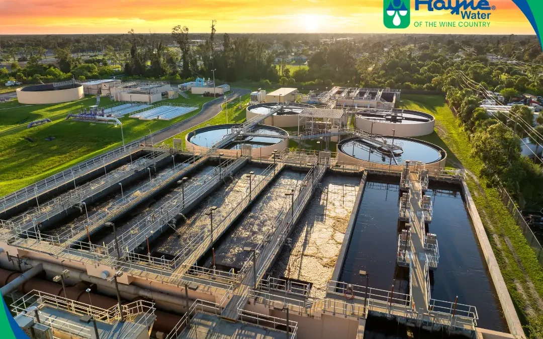 The Hidden Reality of Municipal Water: Why City Water Treatment Isn’t Enough for Your Wine Country Home