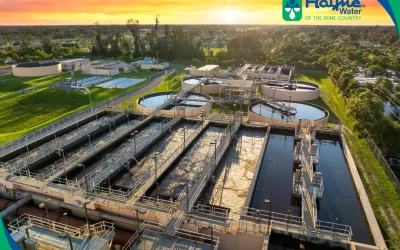 The Hidden Reality of Municipal Water: Why City Water Treatment Isn’t Enough for Your Wine Country Home