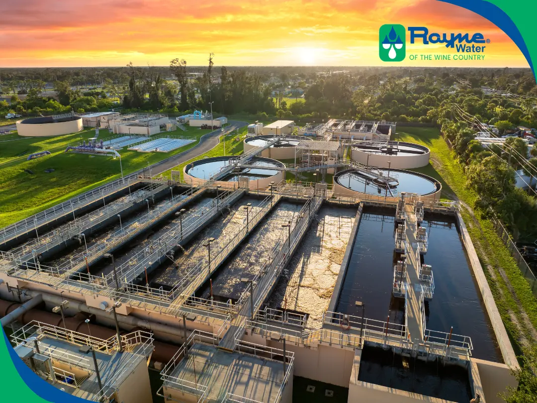 Learn why municipal water isn't always safe and how a home water treatment system can help
