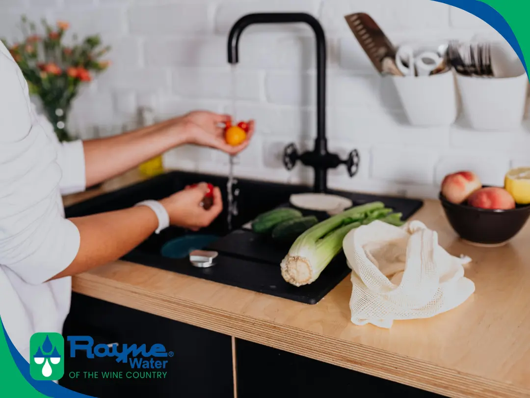 Rayne of the Wine Country – Chlorine Removal Filter Learn how a chlorine removal filter can improve your water's taste and smell