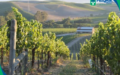 Navigating High Mineral Content in Rural Wine Country Commercial Wells