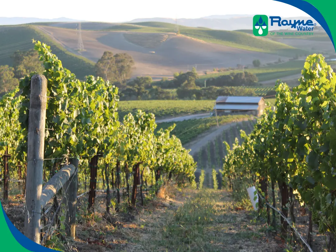 Rayne of the Wine Country – High Mineral Content in Commercial Wells High mineral content in commercial wells presents unique challenges to Wine Country businesses