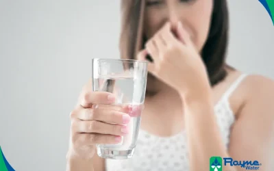 Why Does My Water Smell Like Rotten Eggs? Causes & Solutions for Wine Country Homes